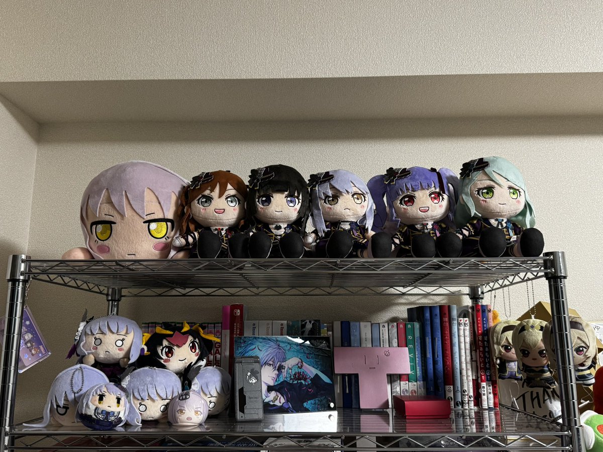 ぬいぐるみ持ち運びのケース欲しい。
キャリーに入れる時ドキドキした🥺