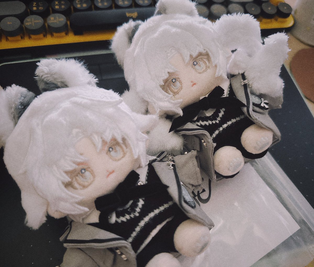 whaleeU_U's tweet image. 🐆🐆🖤🤍
👗：@woo_ble