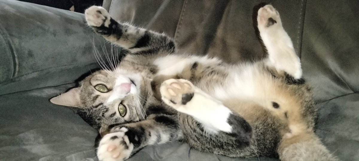 Bless you all and have a beautiful evening 
 ❤️🫂🙏