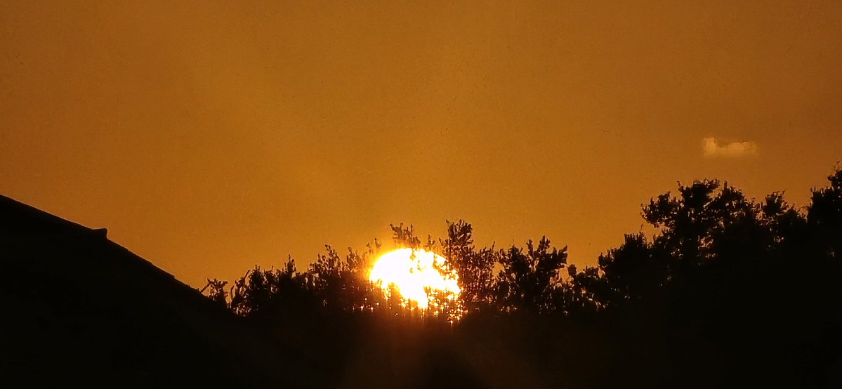 NormaOrtizRodr4's tweet image. Hermoso atardecer en Frisco,Texas. Linda noche. ππ»πππ» @@DeborahTiempo @adamonzon @SLopezTiempo @EliRobainaTV @Carlostoletv @carlosomartv @rcortestv2 @CycloforumsPR @KevinDelbrey @hectorroldantv @SusanSoltero @TWAPuertoRico @Zona_del_tiempo @JoeMartinezTV