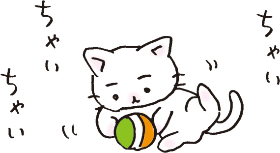 nekop_staff's tweet image. アクティブレストの時間♪
#猫ピッチャー