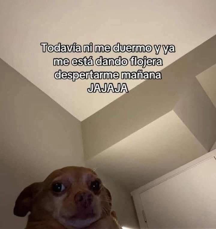 Estoy así