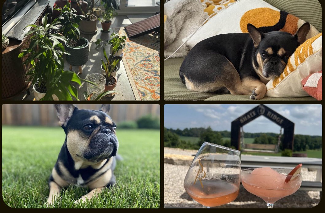 Seraph Kade 🐺⛓️ //Vtuber// 💎 tweet media