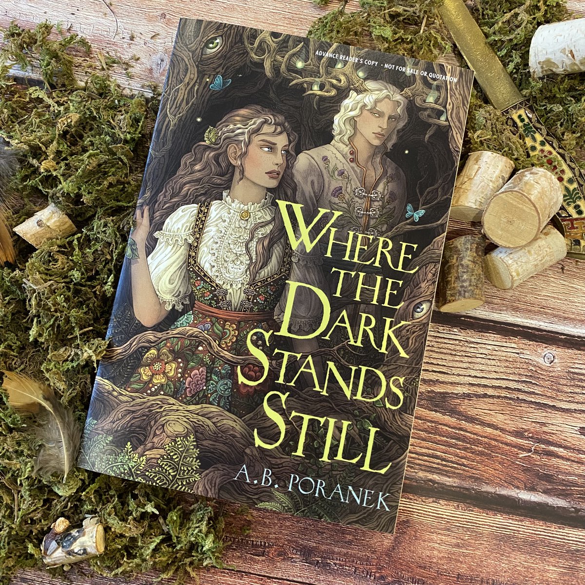 pagebypaigebks's tweet image. Hi bookworms! Check out my review of Where the Dark Stands Still by A.B. Poranek. Thank you to @simonteen for sending me a copy in exchange for an honest review. This book is currently available in stores.
pagebypaigebooks.weebly.com/book-reviews/w…
#BookTwitter #BookTwt #BookReview