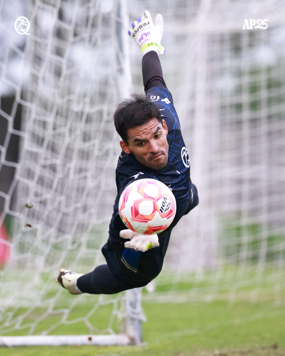 Guardián del arco Azul y Negro. 

Venga, <a href="/PepeHernandez20/">Jose Hernandez</a>. 

#Los75DeGallos