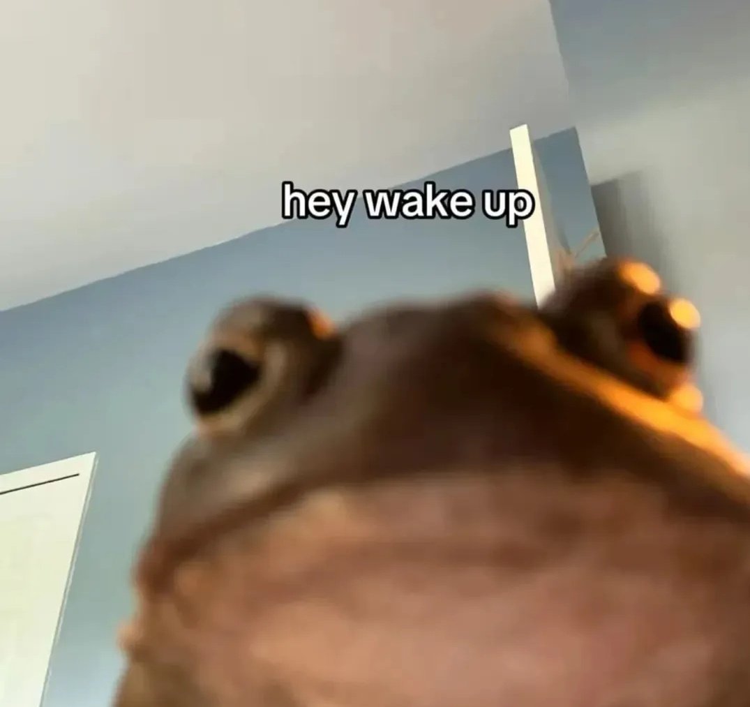 No Context Frogs (@nocontextfrogs) on Twitter photo 