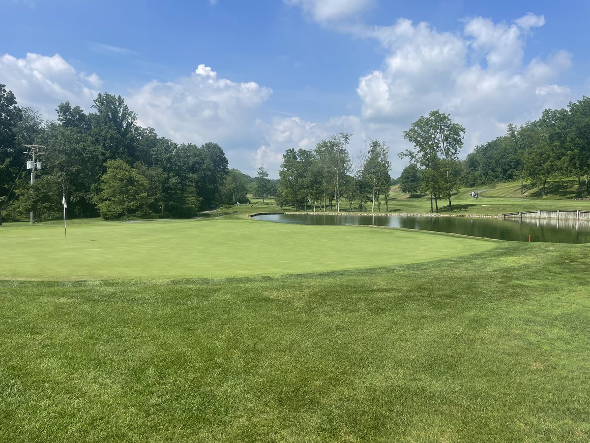 Pocono Turfgrass tweet media