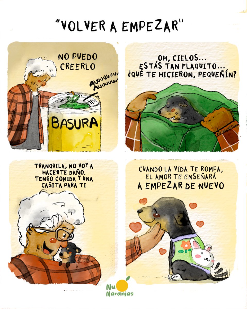 🍊  Tras llevárselo a su casa, decidió adoptarlo y darle una vida mejor. La llamó Garnachita 🧡 foto real en el primer comentario.