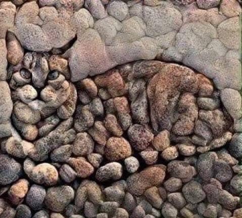 DiloConGatitoz's tweet image. Gato hecho con piedras 😃
Los detalles, los colores, la forma… todo encaja como si la naturaleza misma hubiera querido rendir homenaje a nuestros compañeros de cuatro patas.