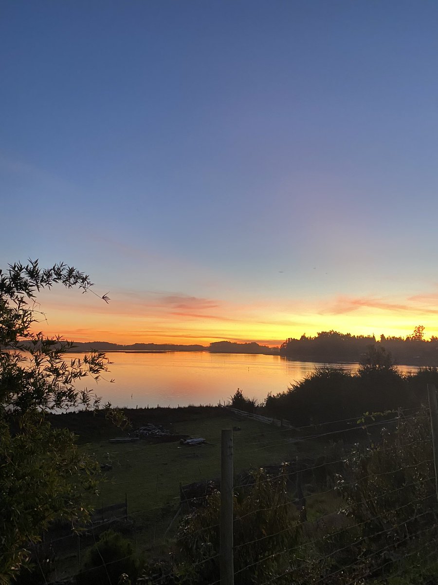 Budi Lafken Mapu,Operador Turistico tweet media