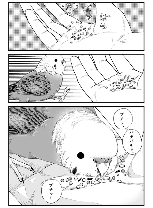 プチッ パチパチッ…

本日発売のビッグコミック8月増刊号に『ニャーゴとピュロロロ』が2話掲載されております🐈✨🦜 