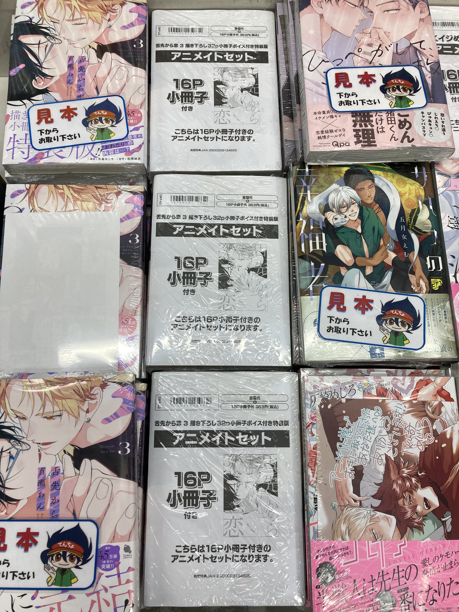 BL小説　16冊セットお譲り コミック】俺たち親友だから、セックスしよう? アニメイトセット