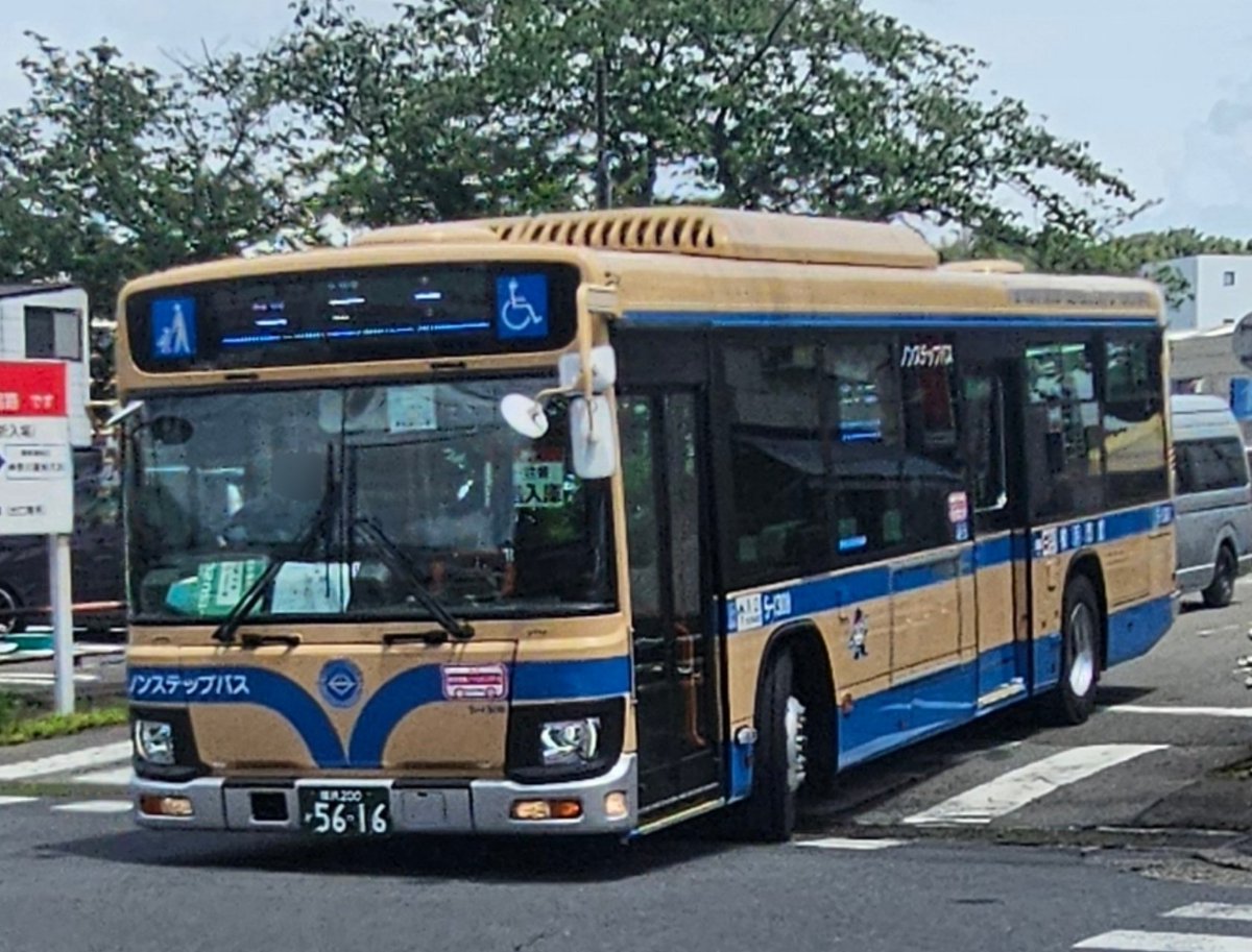 スパマリン★シーオリゴ バス★たかの友梨 サキ(早妃) 💖👧💖 on X