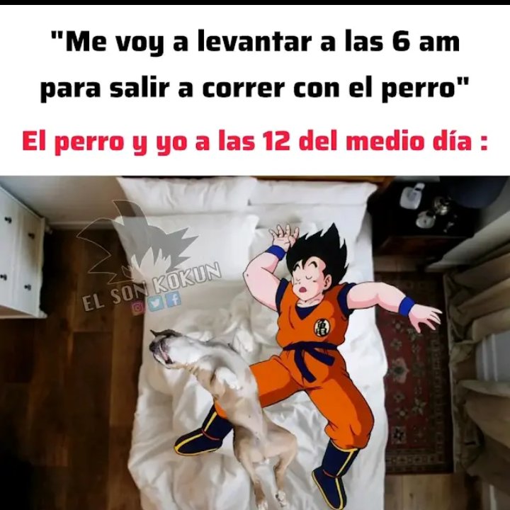 Vengo emputado
kick.com/gramajodb