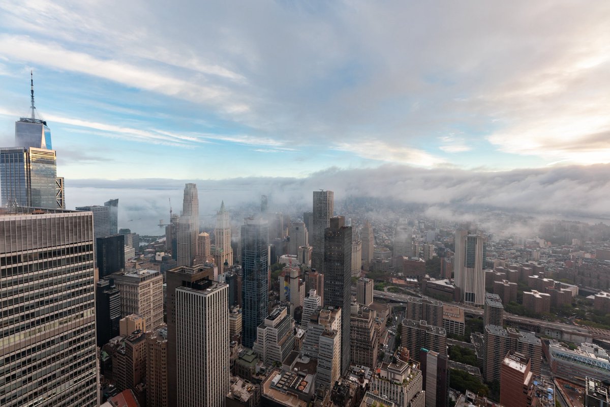 Dee from Flawda tweet media