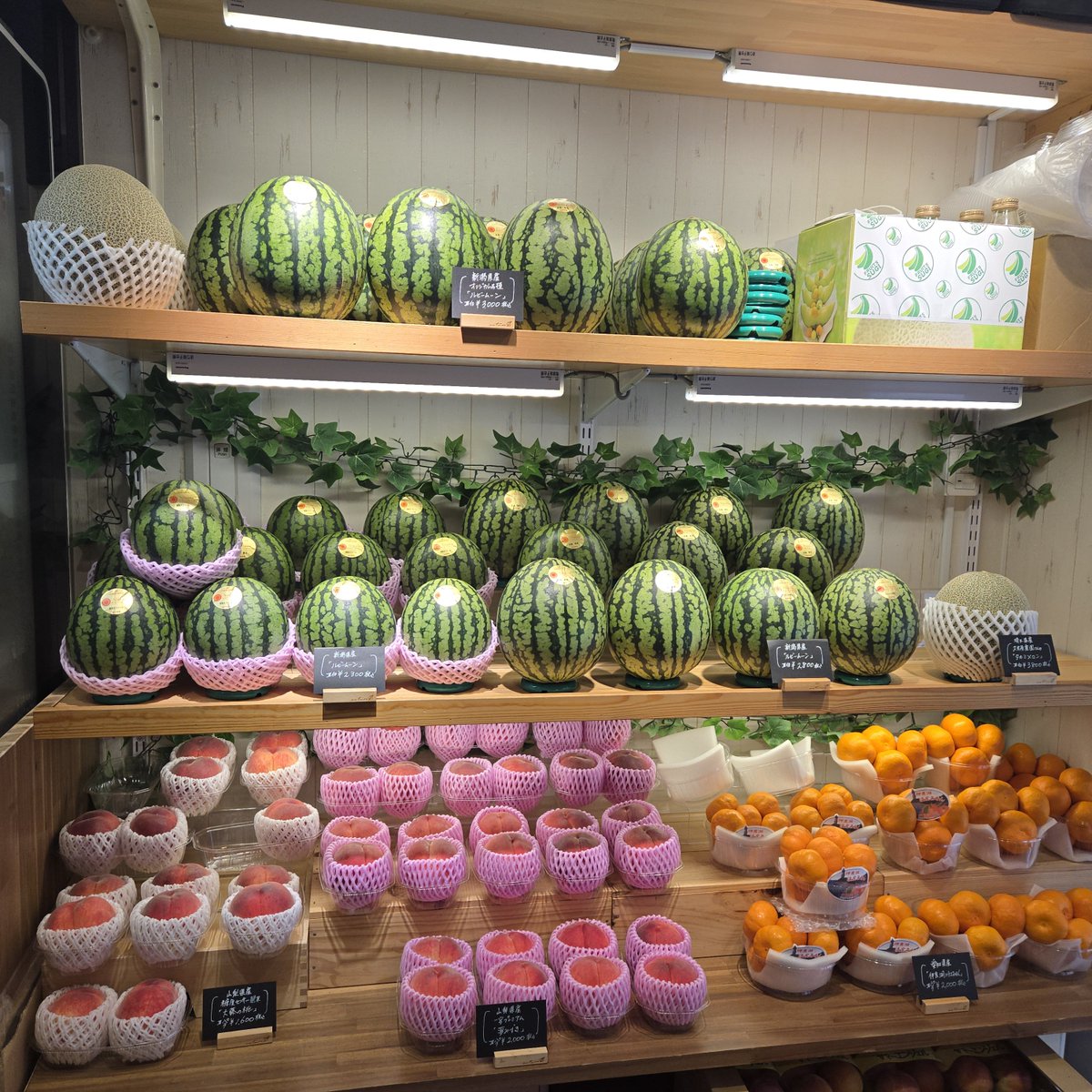 大塚【フルーツすぎ】で購入した スイカ🍉Niigataルビームーン (JA新潟