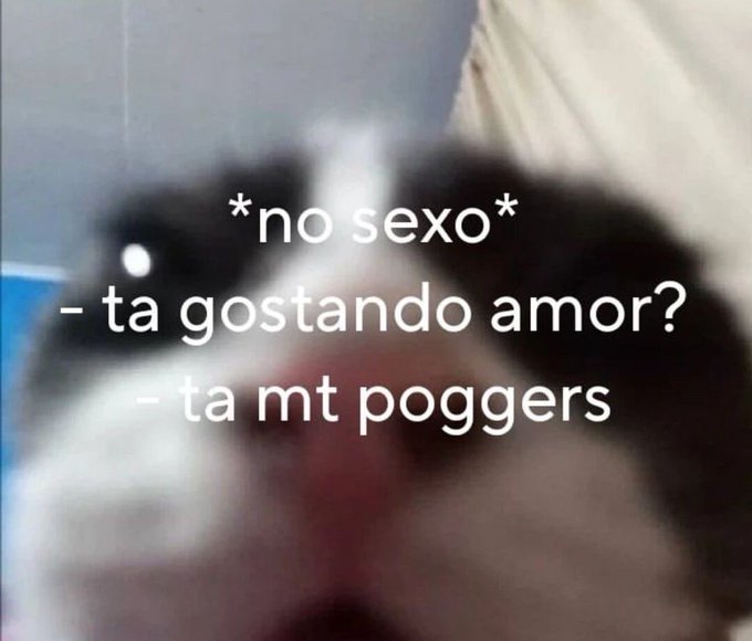 animaisfrases_'s tweet photo. https://t.co/dYfcauIubn
