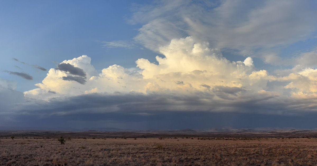 MikeOlbinski's tweet image. Storms moving southwest towards I-17 with a little shelf feature #azwx
