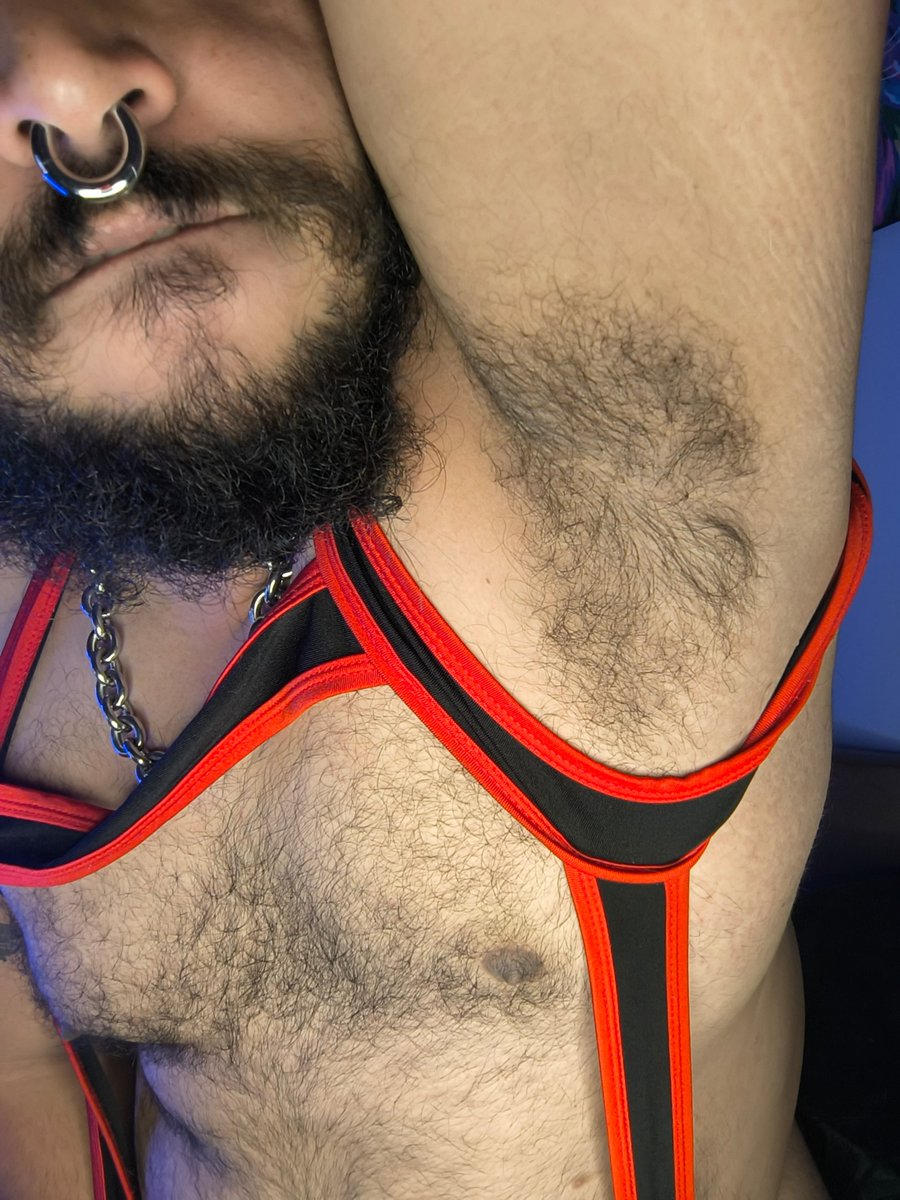 DannyBear🐻🔥 tweet media