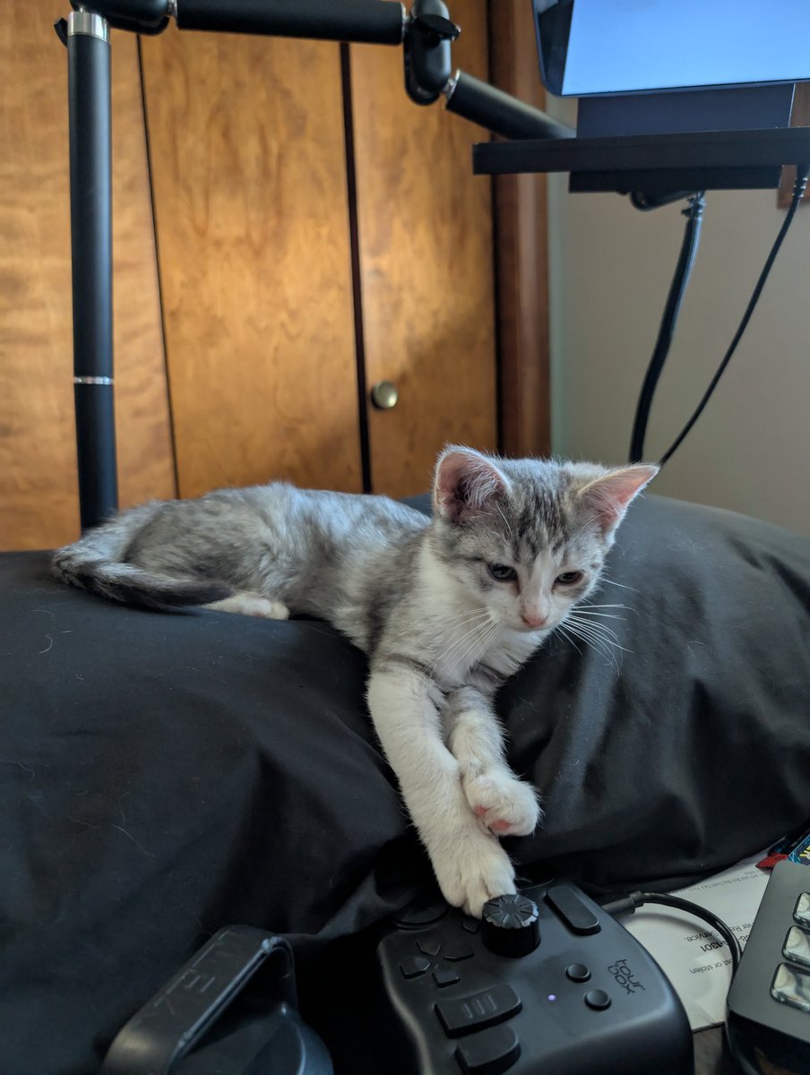 TTVdaws__'s tweet image. Special stream tonight at 11pm cst! Tonight we're going to be playing Donkey Kong Bananza, I'm like 99% sure it releases at 11pm for me so I wanted to stream it and have some fun :) Teto will also be there so come hang out with us!