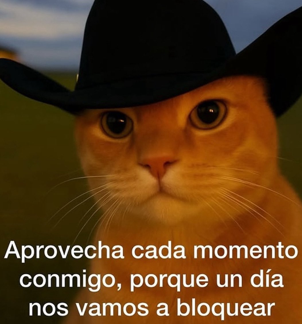 Leon tweet media