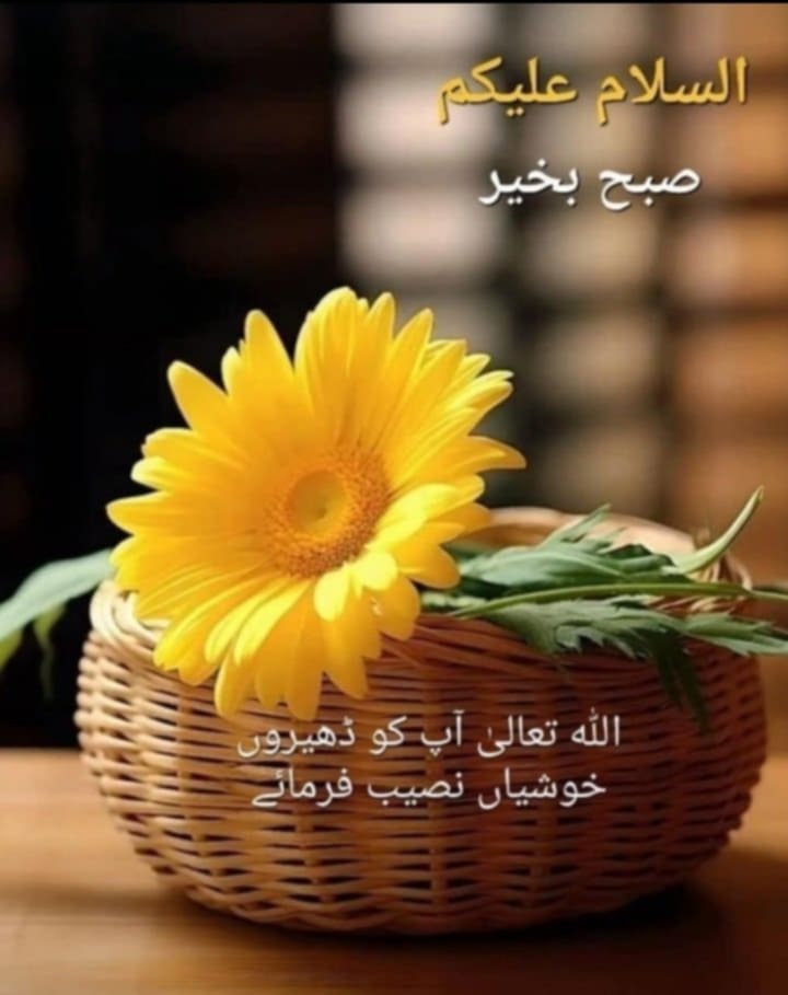 Javed60M's tweet image. السلام علیکم و رحمت اللہ و برکاتہ 
صبح بخیر