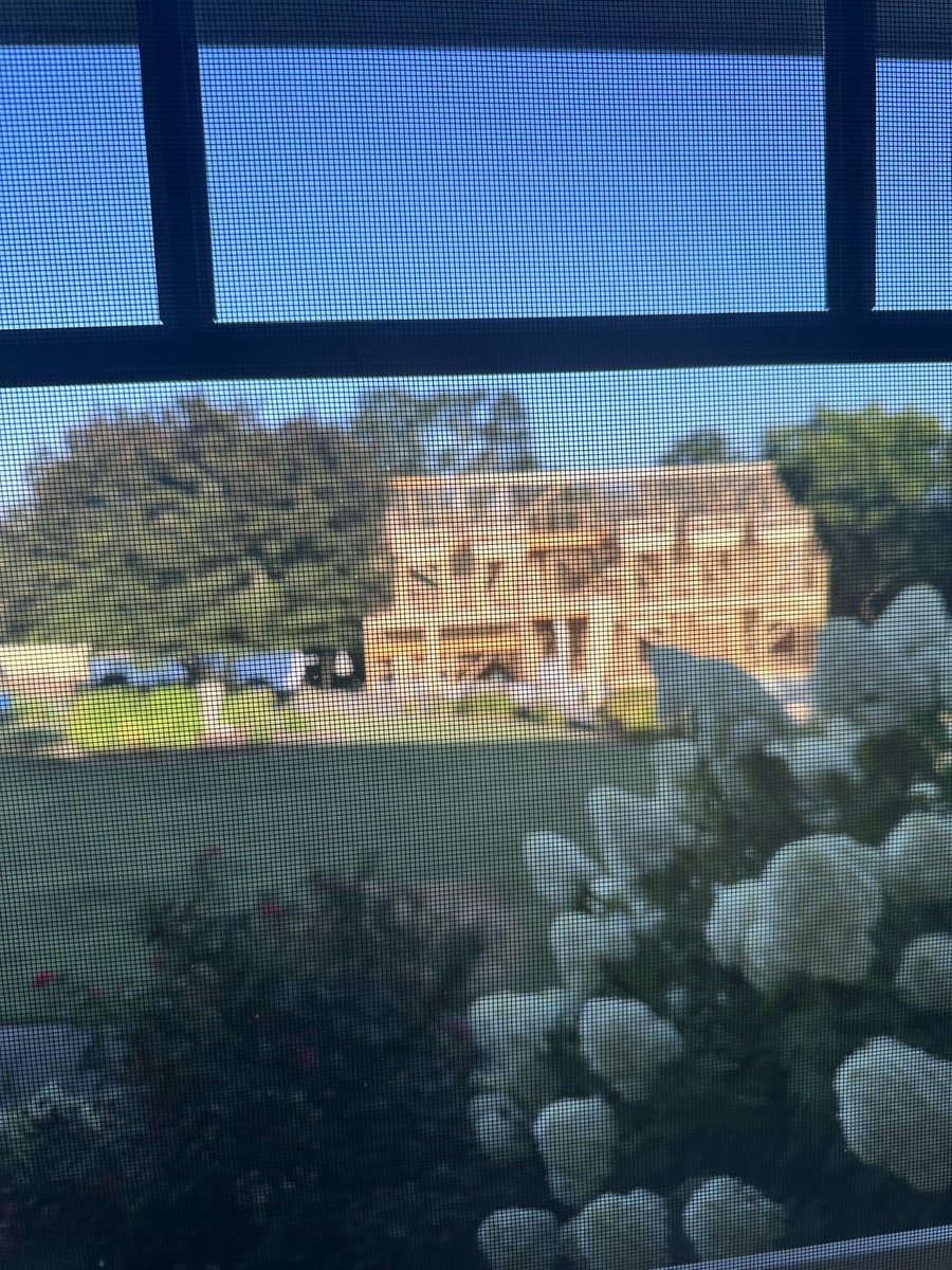 𝕁𝕦𝕝𝕚𝕖 𝔻𝕒𝕟𝕚𝕖𝕝 𝔻𝕒𝕧𝕚𝕤, CETL (@juliedavisedu) on Twitter photo 