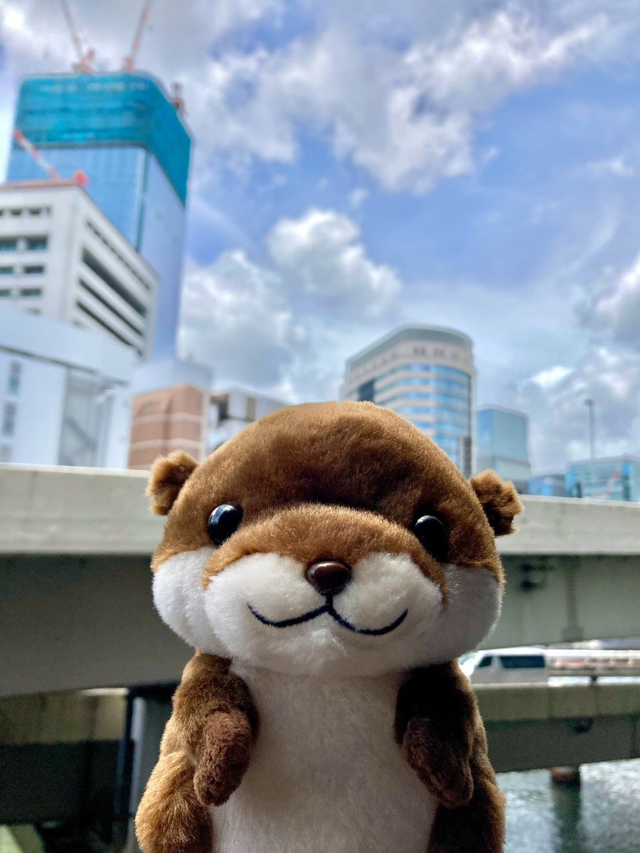 OSTfancy_info's tweet image. おはようございます
東京日本橋の天気は⛅️/30℃
台風が通りすぎたら梅雨明け
ということはそろそろ梅雨明け…?
既に晴れ間が多くなり明日も晴れそう☀️
いよいよ夏本番🌻
暑さに気を付けて思いっきり夏を満喫しましょう🎵
📷#まねまね #カワウソ
#イマソラ
#企業公式が毎朝地元の天気を言い合う