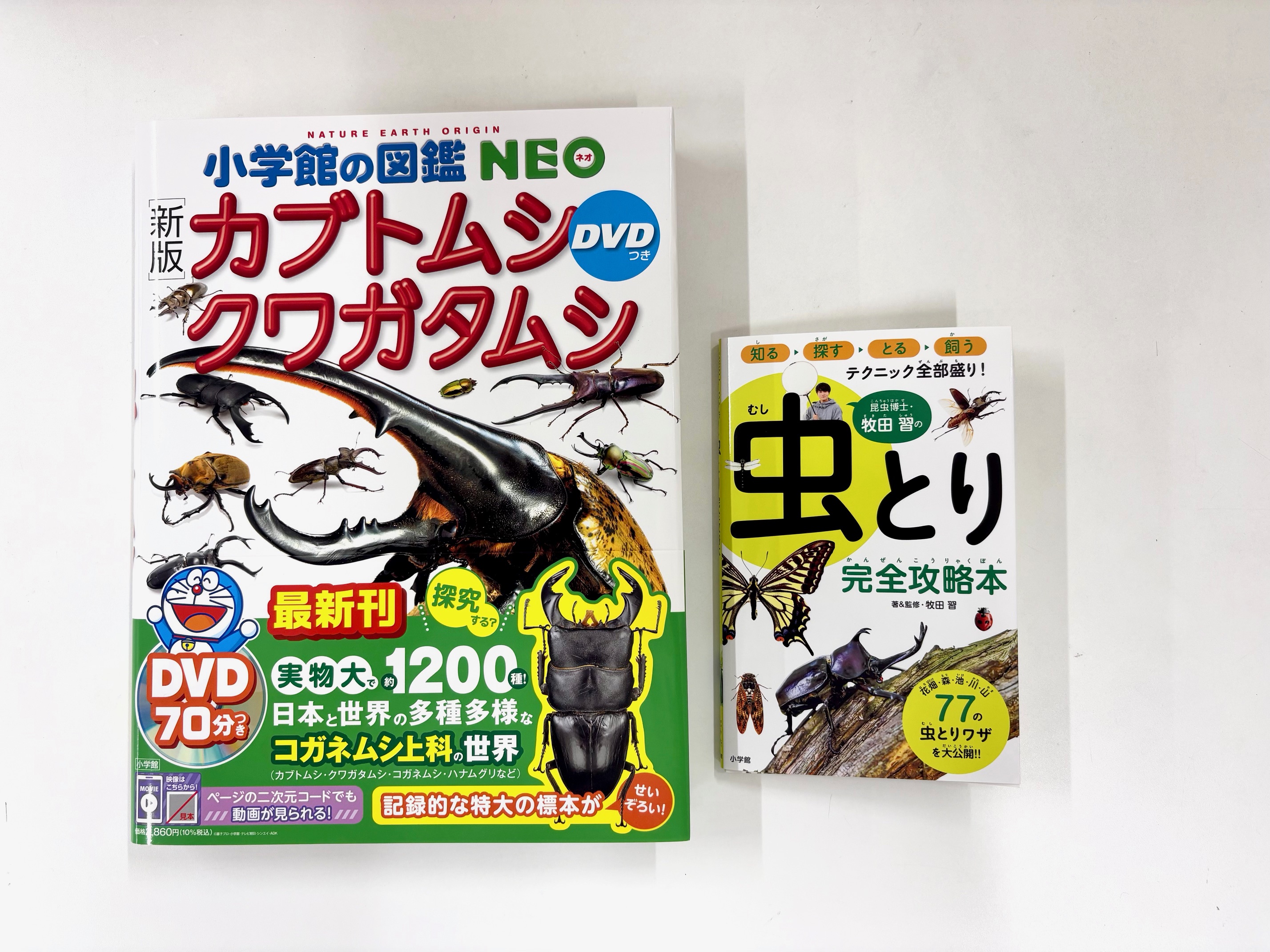 昆虫図説 昆虫文献 蛾類関連書籍4冊セット Amazon.com: 蛾の生態標本図鑑: 9784780423358: 今井初太郎: Books