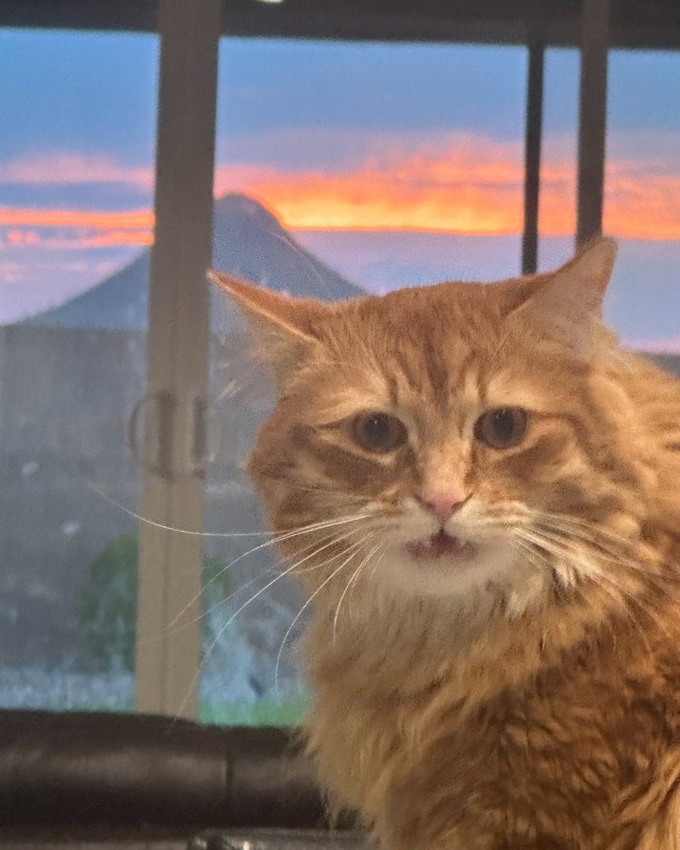“Why are you taking photos of the sunset instead of me”