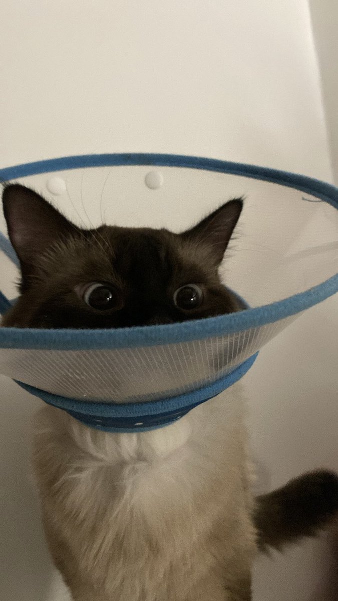 NONI (@nonee_x) on Twitter photo 