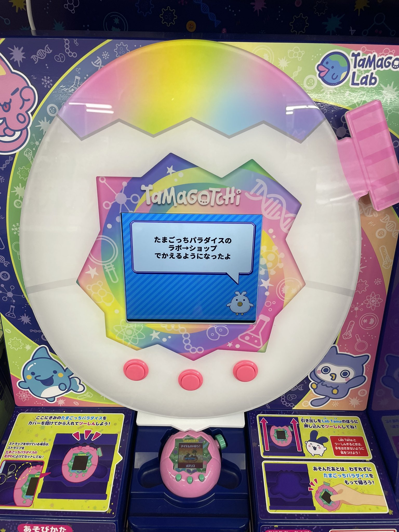 冠ネコ on X: 