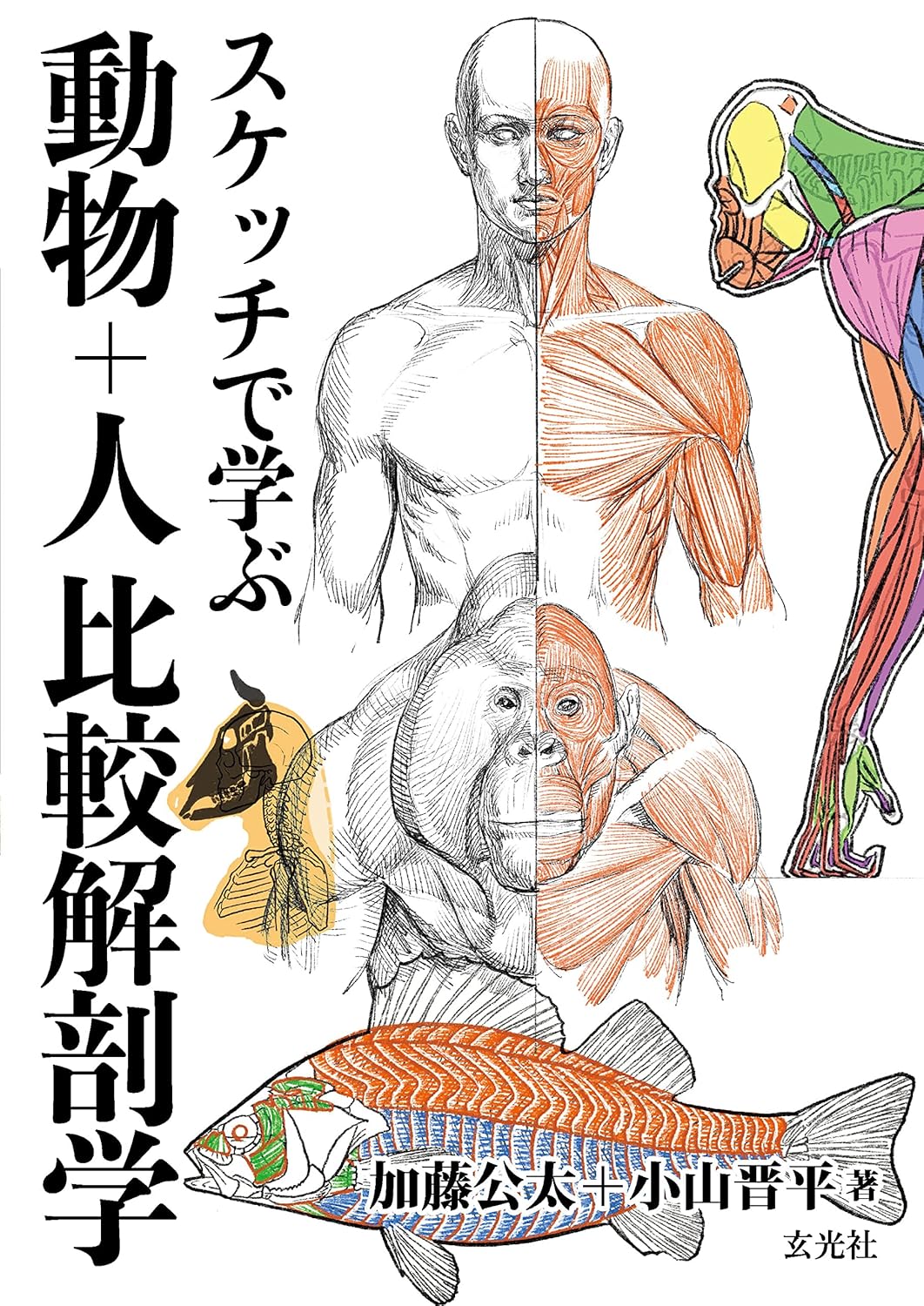 解剖学・人物画・デッサン技法 3冊セット＋スケッチブック付き。 玄光社_電子書籍 on X: 