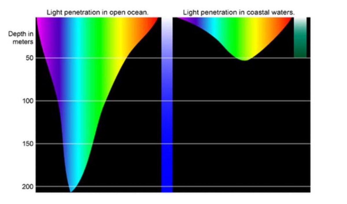 My new video…

Ongoing Darkening of Global Oceans - Enormous Disruption to Planetary Albedo, Phytoplankton Growth, Zooplankton Migration, and thus the Entire Web of Life
youtu.be/gkv0eRGDjjE?si… 

#climate #ClimateRisk #ClimateEmergency #globalwarming #ocean #Food #Marine #seas