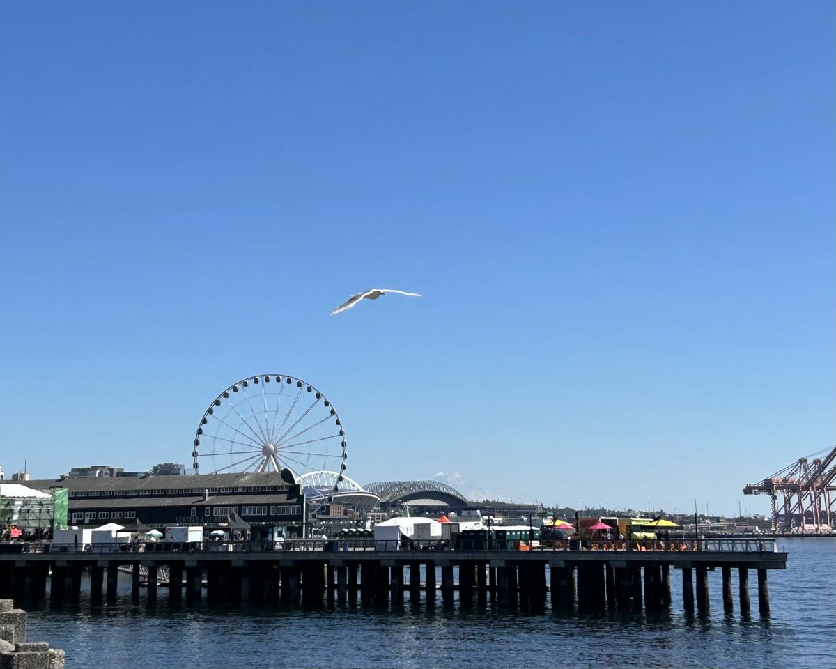 KSeattleWeather's tweet image. Soaring over Seattle