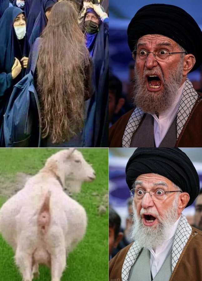 - <a href="/LizaRosen0000/">Liza Rosen</a>