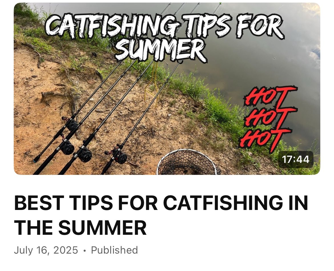 BEST TIPS FOR CATFISHING IN THE SUMMER
youtu.be/1yupYFq9Zb4