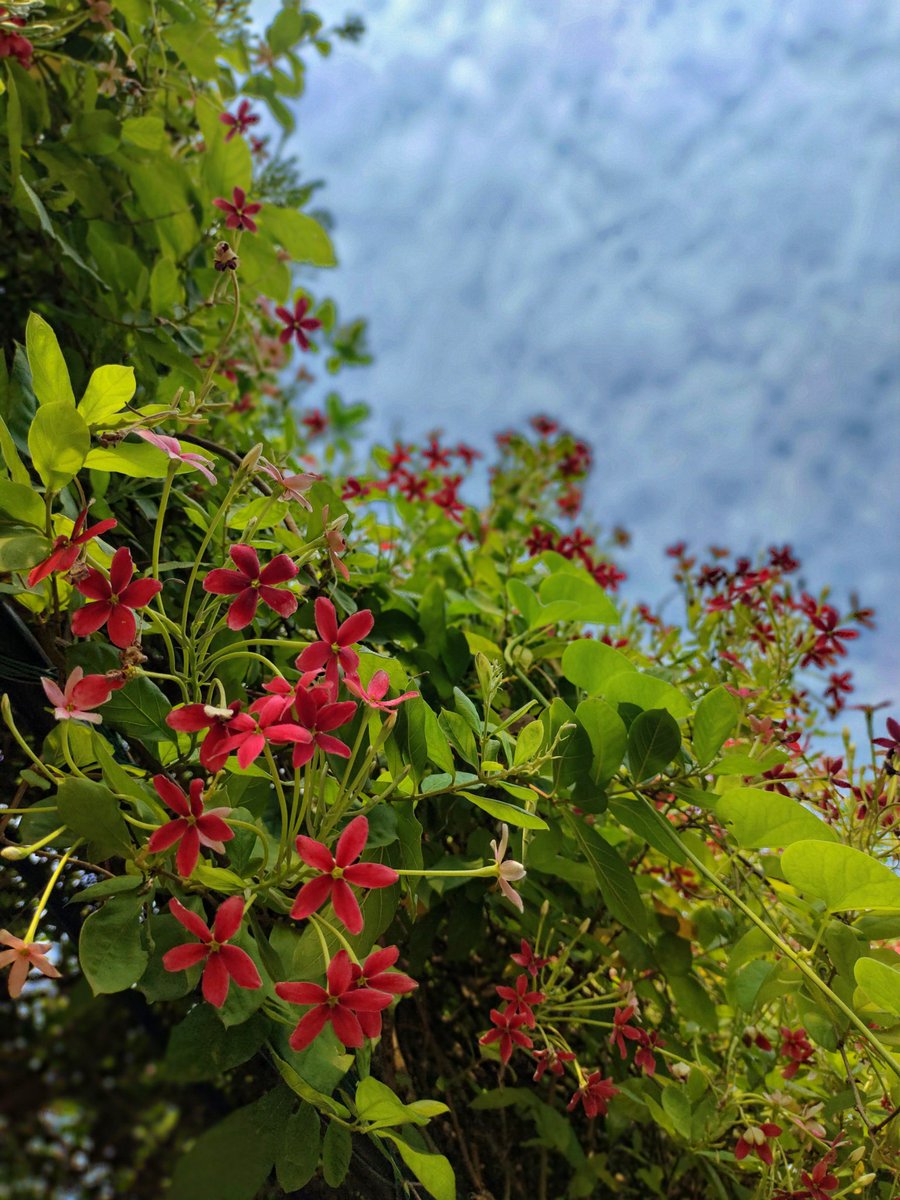 OutOFreacH_i's tweet image. 🩶✨
"𝙏𝙧𝙪𝙚 𝙝𝙖𝙥𝙥𝙞𝙣𝙚𝙨𝙨 𝙡𝙞𝙚𝙨 𝙞𝙣 𝙘𝙤𝙣𝙩𝙚𝙣𝙩𝙢𝙚𝙣𝙩 !"
Contentment(आत्मसंतुष्टि) arises when we are in touch with our soul....🩶
To experience it, connect with your soul & reduce expectations & desires...🤌
Have a wonderful day y'all
Radhey Krishn ✨🌸