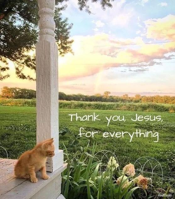 <a href="/MAGANewsX/">MAGA News</a> Yes.

💯

✝️

🙏🏻