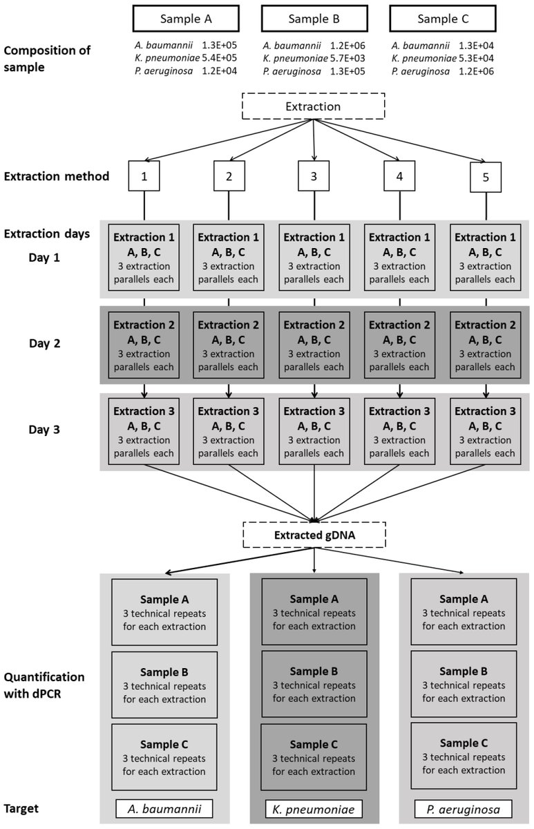 Biosensors_MDPI's tweet image. 📣Call for Reading:

#Article
Evaluation of DNA Extraction Methods for Reliable Quantification of Acinetobacter baumannii, Klebsiella pneumoniae, and Pseudomonas aeruginosa

by Alexandra Bogožalec Košir, et al.

mdpi.com/2079-6374/13/4…

#nucleicacid #DNAExtraction #dPCR 
#mdpi