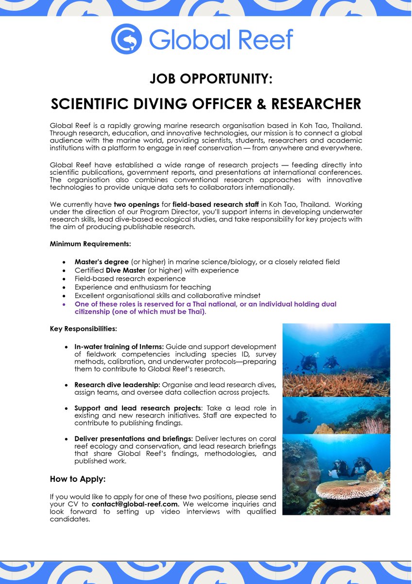 ⚠️ DREAM JOB ALERT ⚠️
We’re hiring! Come join the team at Global Reef in a  field research position.
Tons of research freedom and lots of field work in beautiful Thailand 🐠🪸 Full time, salaried position.
Details below; reach out with your CV at contact@global-reef.com