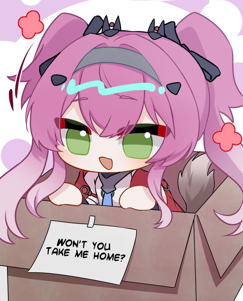 Up for adoption 🐶