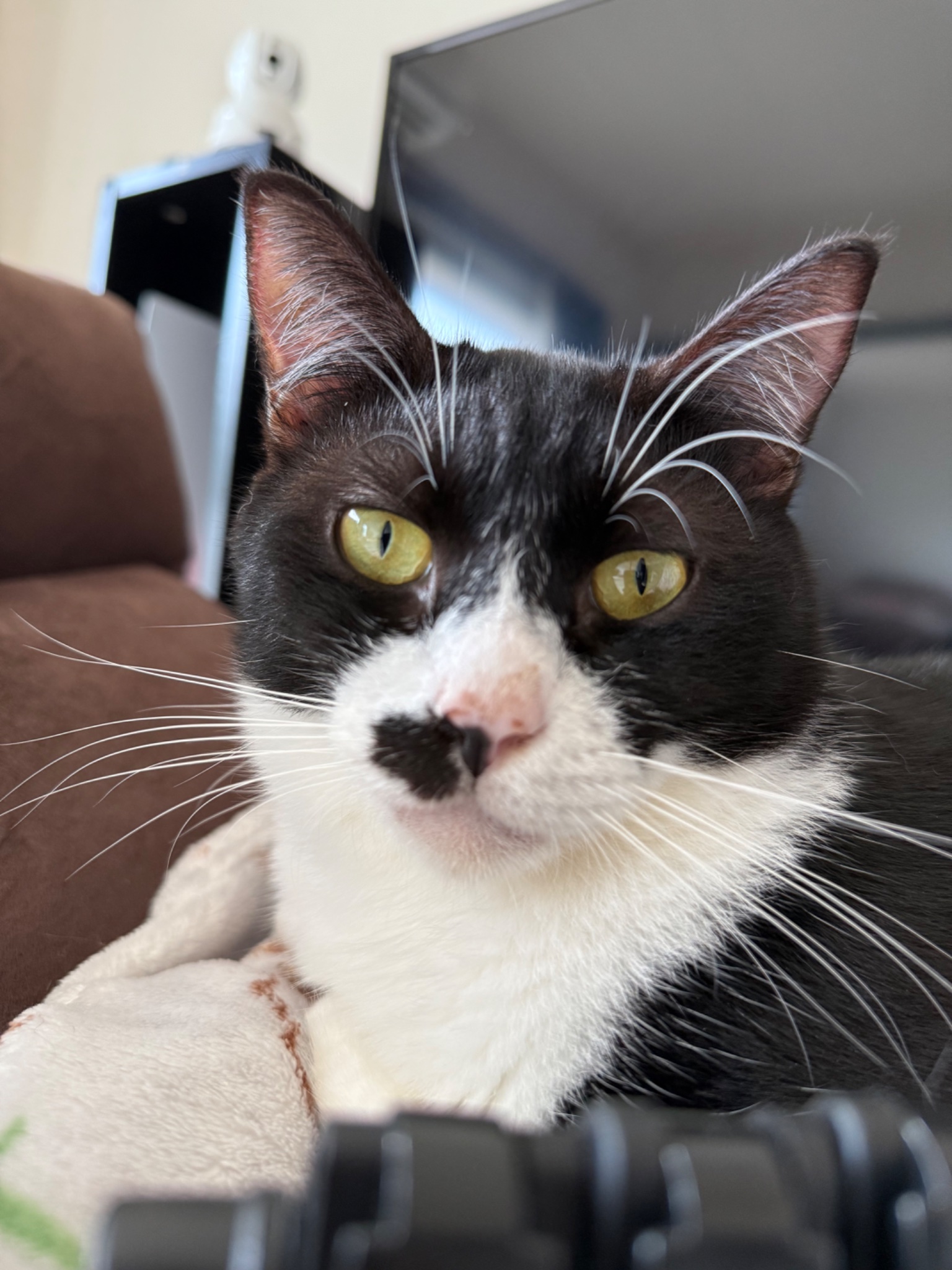 チャック Chuck (@chuck321tv) / X