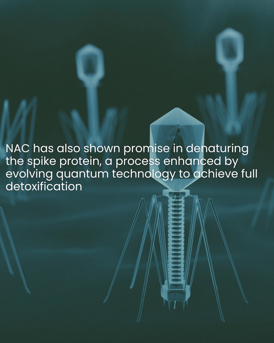 🧬 What is the spike protein and why should we detoxify?
The spike protein is a structure produced by the body in response to certain external triggers. It may contribute to inflammation and cellular stress — which is why many are choosing to support their natural detox systems.