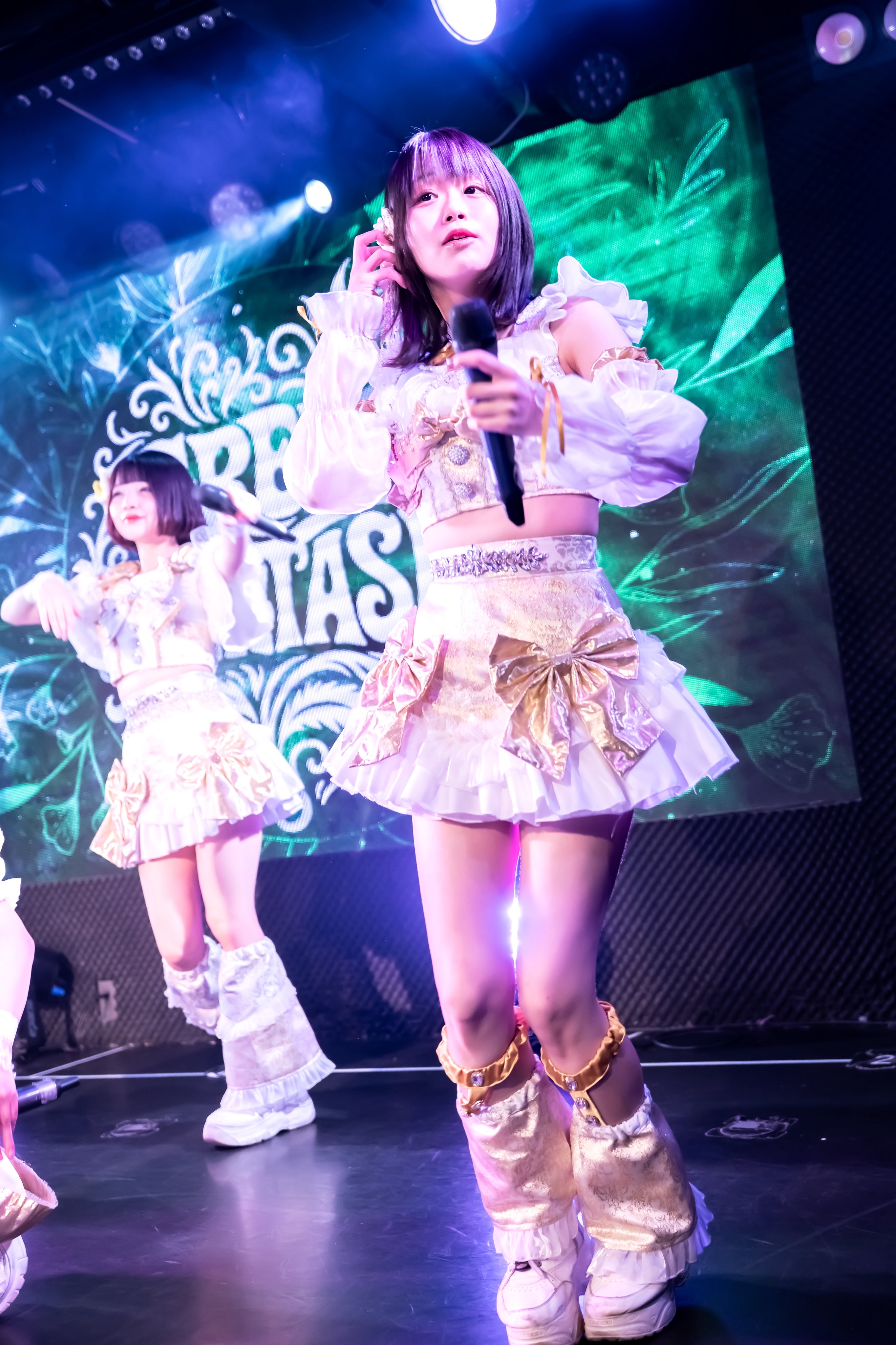 ボディコンナイト⭐︎日拓舞踊宴⭐︎ベルファーレ・ジュリアナ　テクノナンバー7枚セット 公式】シンセレSUMMER FESTIVAL2025開催決定㊗️ on X