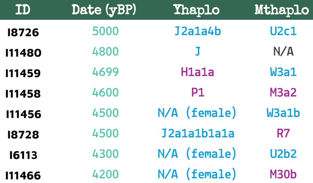 Rtam86418021's tweet image. All publicly available IVC samples with their uniparental haplogroups
💜 is South Asian-related (AASI) 💙 is West Eurasian-related (Neolithic/Eneolithic Iranian related).
4/7 (57%) with mt-DNA haplogroups & 3/5 (60%) with Y-DNA haplogroups have West Eurasian lineages.
