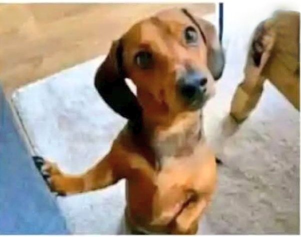 TheEqualizer_ZW's tweet image. Zimbabweans after they ask the price and find it expensive..
Saka munovhara nguvai?