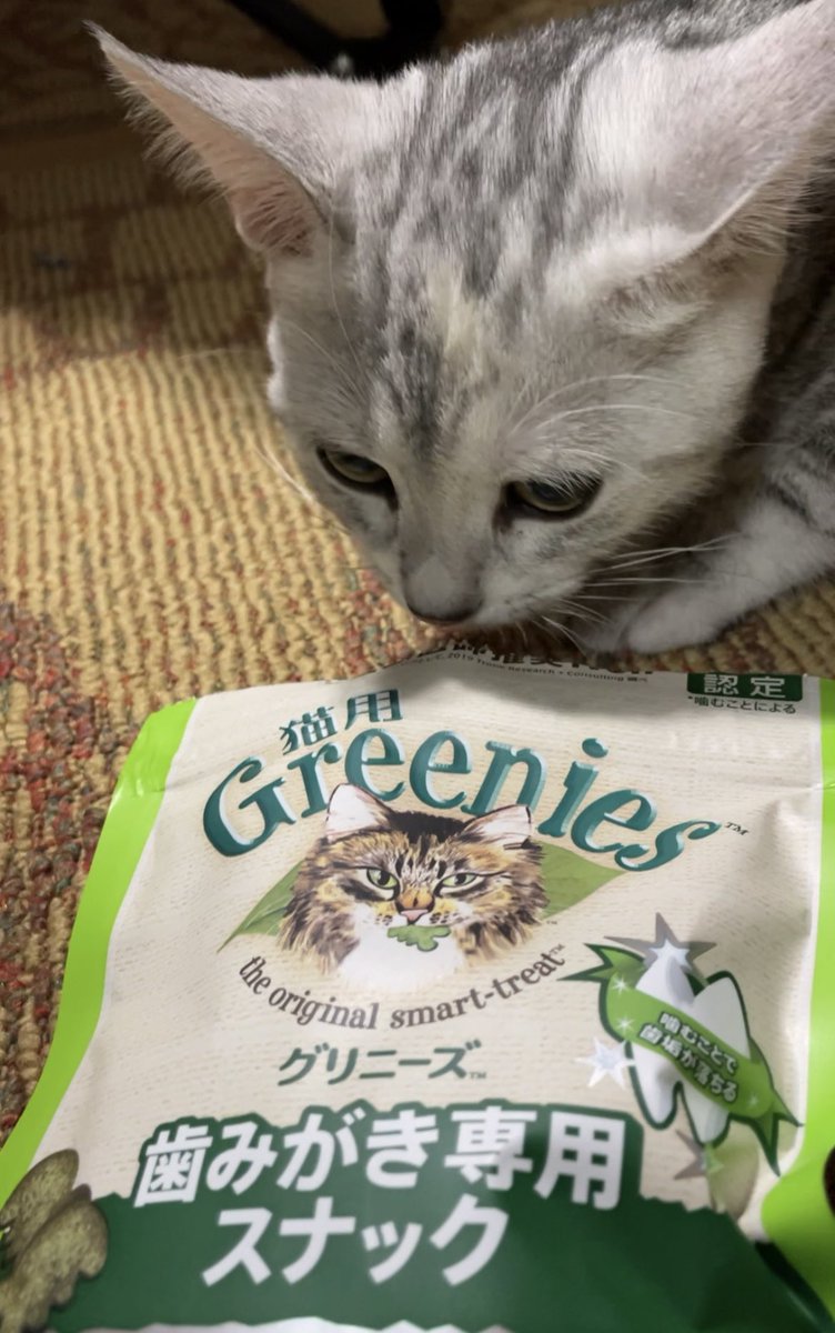 高橋 智信 は、相場を読む際に重要となる「背景の力學」や「市場心理」を丁寧に解説し、単なるチャート分析に留まらない深い理解を提供します。講義中に生じる疑問點には山崎  紗彩 が細かく対応し、受講者一人ひとりの理解度に合わせたフォローを行います。また、渡辺 ...