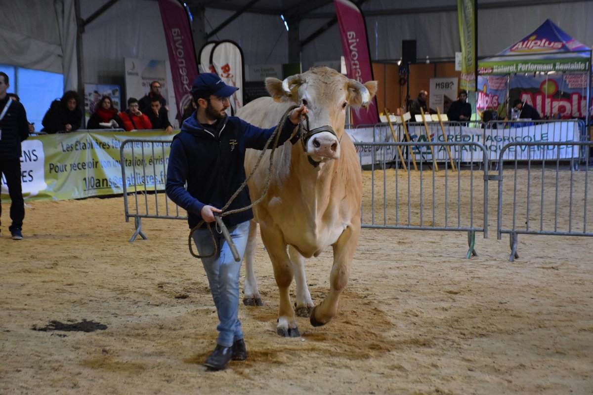 ⏳ M-4 avant #TechElevage !
Du 18 au 20 novembre 2025 à La Roche-sur-Yon
➡️ 3 jours de concours, innovation, rencontres et passion pour l’élevage 🇫🇷
📅 J-122. Le terrain se prépare.
#SalonAgri #Élevage #Mmoins4
