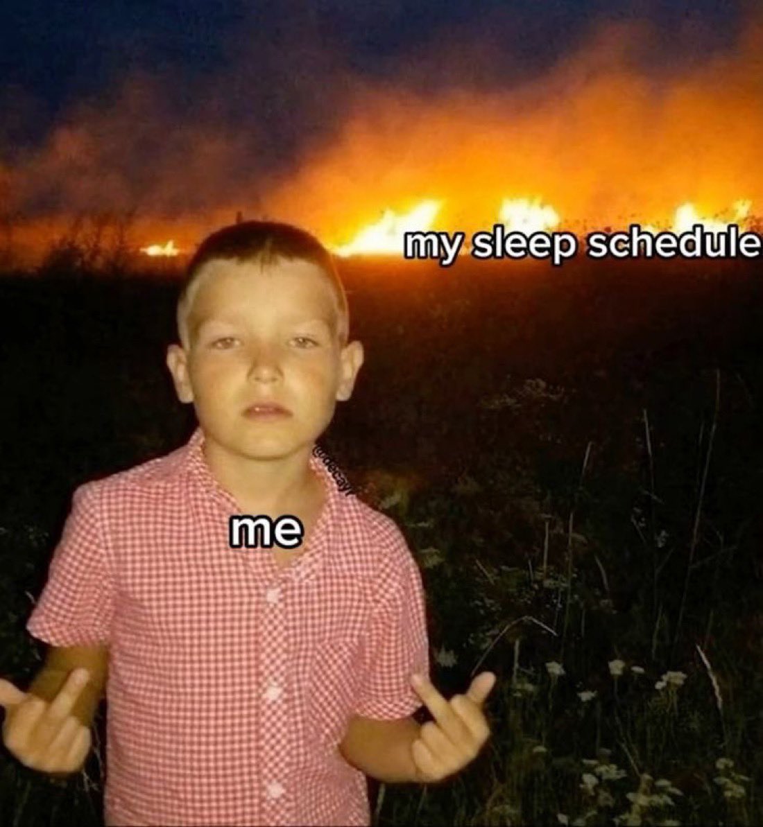 Patrick Van Negri (@patrickvannegri) on Twitter photo 